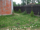 DSCF5742