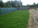 DSCF5743
