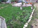 DSCF5759