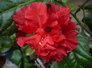P1130976