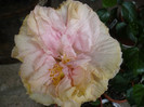 P1130984