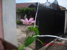 CIMG9246