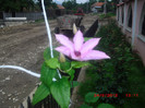 CIMG9247