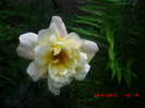 CIMG9273