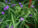 CIMG9274