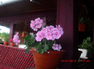 CIMG9306