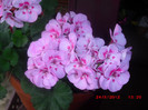 CIMG9309