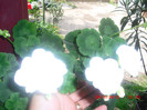 CIMG9331