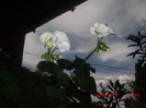 CIMG9332