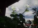 CIMG9333