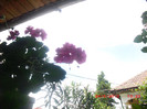 CIMG9336