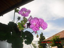 CIMG9338