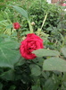 Photo0770