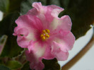DSCN8431