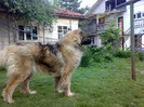 080520122392