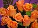 un-buchet-de-trandafiri-portocali_e32d41a4ec613f
