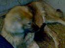 140420122351