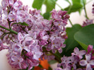 DSC02710