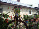 Photo019