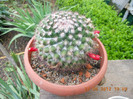 Picture 023
