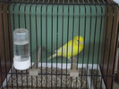 DSCF2208