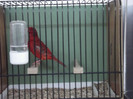 DSCF2209
