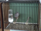 DSCF2214