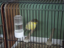 DSCF2216