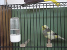 DSCF2218