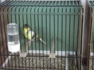 DSCF2224