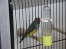 DSCF2347