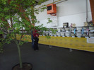 DSCF2360