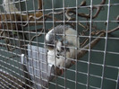 DSCF2361