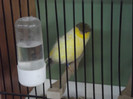DSCF2337