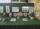 DSCF2278
