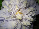 DSC01644