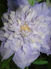 DSC01620