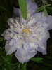 DSC01619