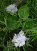 DSC01629