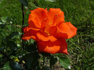 P1540572