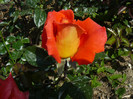 P1540573
