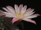 DSC00511