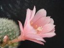 DSC00602