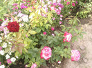 Photo0116