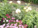 Photo0117