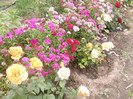 Photo0119
