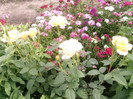 Photo0121