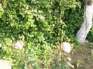 Photo0128