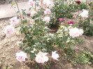 Photo0129