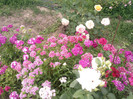 Photo0134